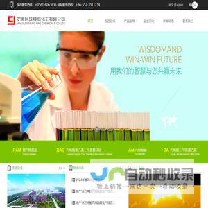 安徽巨成精细化工有限公司